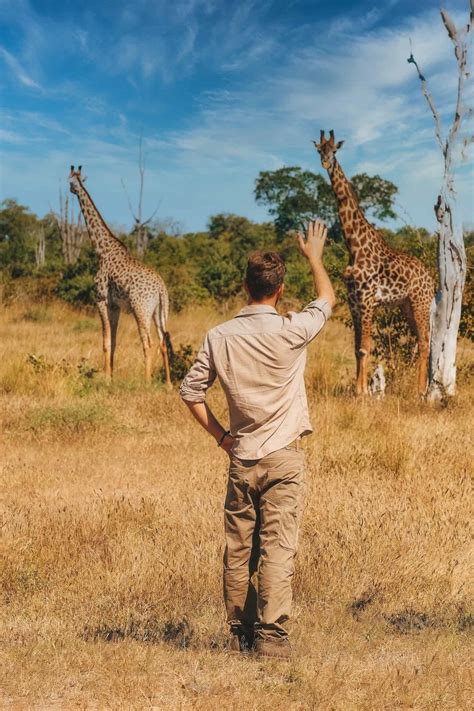 50 Awesome Safari Quotes And Captions To Prepare You For Africa