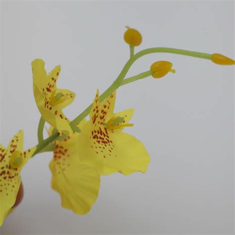Oncidium Decorative Dancing Orchid Artificial Flowers Factory Supply Flower Arrangement