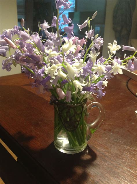 We did not find results for: wood hyacinths--- so sweet smelling | Flowers, Glass vase ...