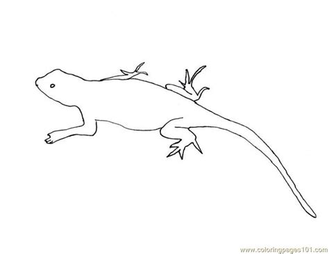 A simple coloring page with a machine. Lizard Coloring Page - Free Lizard Coloring Pages ...