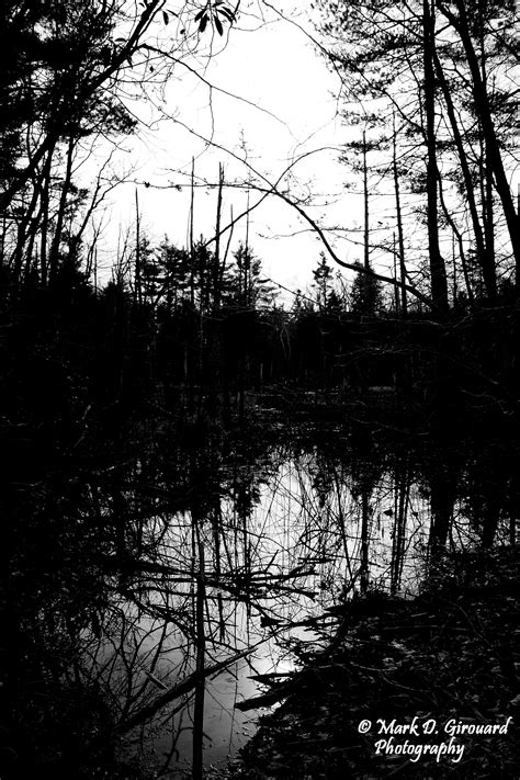 Black And White Reflection Photography Work Reflection In This Moment