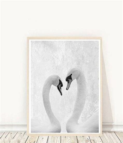 Swan Print Swans Photo Printable Art Swan Wall Art Heart Print
