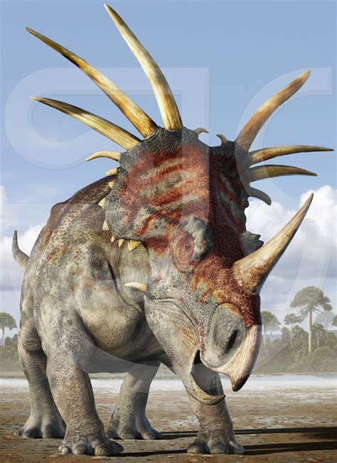Prehistoric Dinosaurs Evolution Sjc Illustration Gallery