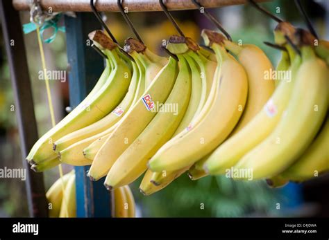 Bunches Of Bananas For Sale On A Market Stall Stock Photo Alamy