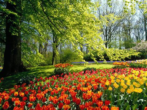 Spring Nature Wallpapers Top Free Spring Nature Backgrounds