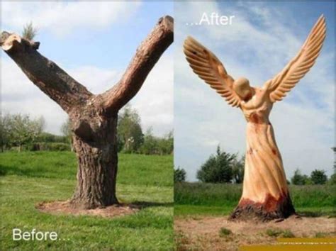 Mission to minimalism entry 4 this life i styled. Before And After Tree