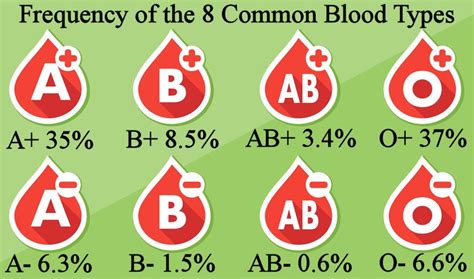 Why Are Rare Blood Types More Common Than You Think Healthproadvice