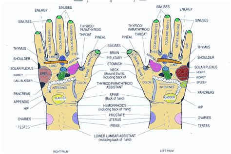 It will reduce heel pain, ankle pain, and foot pain in general. TRUELIFE: Reflexology