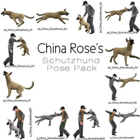 Help With Pet Poses — The Sims Forums