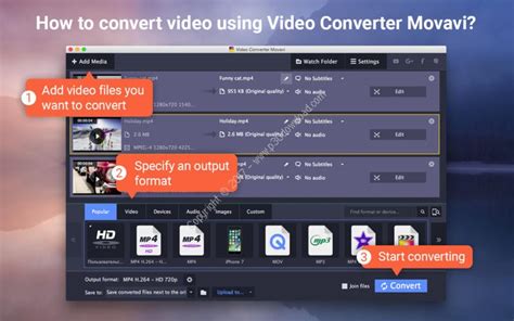 دانلود Movavi Video Converter 22 Premium V2250 Macos نرم افزار تبد