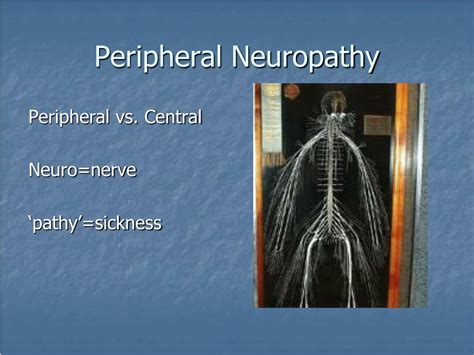 Ppt Overview Of Peripheral Neuropathy Powerpoint Presentation Free