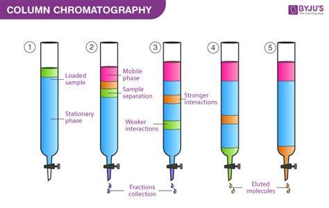 Chromatography Principle And Its Types Definition Principle Types