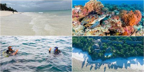 Mombasa Marine National Park And Reserve Entrance Fees