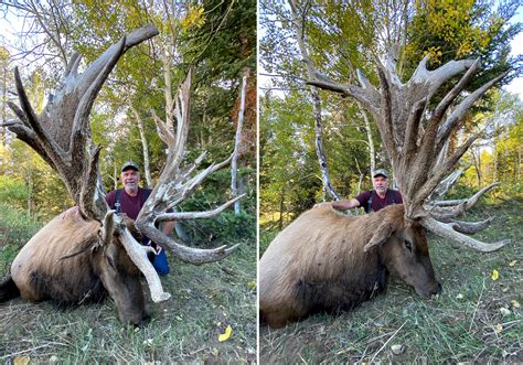 High Fence Bull Elk Could Break An Sci World Record Outdoor Life
