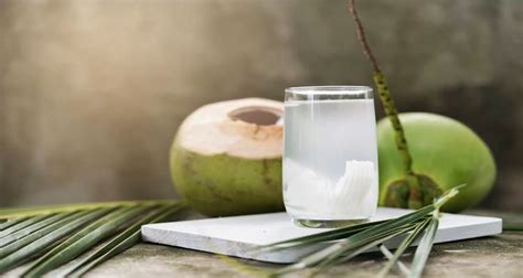 Buko Juice Benefits What Are Its Health Benefits