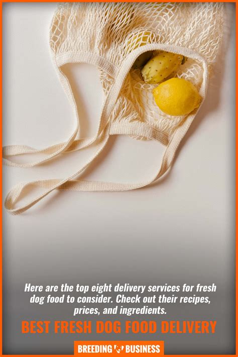 What are the largest food delivery companies in the world ? 8 Fresh Dog Food Delivery - Services, Cost & Benefits (Pet ...