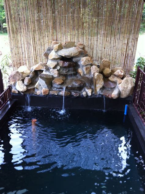 Koi ponds need to be large. Newly built koi pond @ the farm... | Koi pond, Pond, Koi