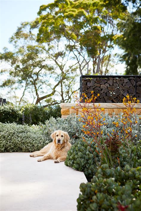 Outdoor Establishments: Sydney Landscape Architects + Garden Design