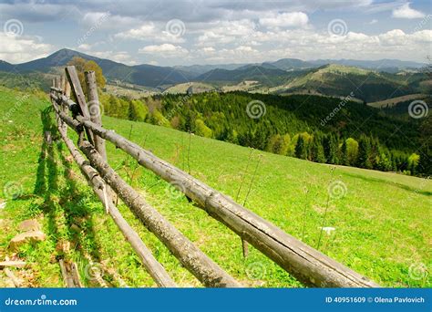 在森林山的美丽如画的篱芭 喀尔巴阡山脉，乌克兰 库存图片 图片 包括有 绿色 室外 美丽如画 小山 40951609