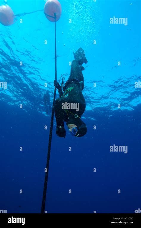 Herbert Nitsch Breaks The New No Limits World Freediving Record Diving