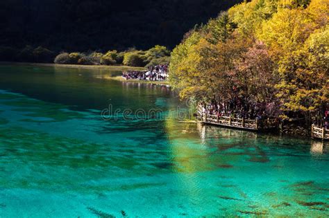 Five Flower Lake Is Lake In Jiuzhaigou Stock Image Image Of