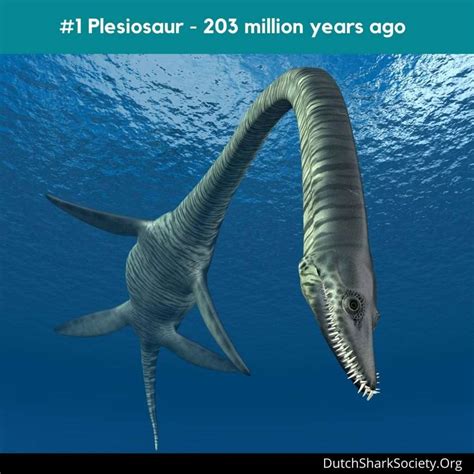 Top 10 Creepy Extinct Sea Creatures 2023