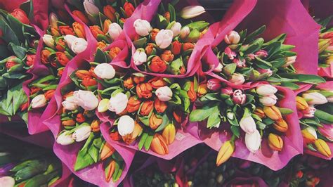 2048x1152 Resolution Tulips Flowers Bouquets 2048x1152 Resolution
