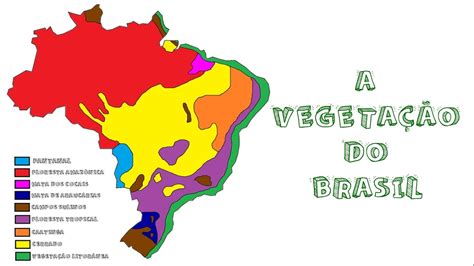 Mapas Da Vegetação Do Brasil Edulearn