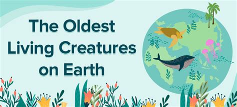 The Oldest Living Creatures On Earth