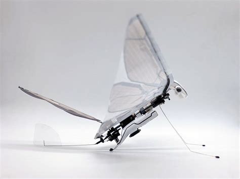 The Metafly Robotic Insect Uses Biomimetics To Mimic The Real Thing