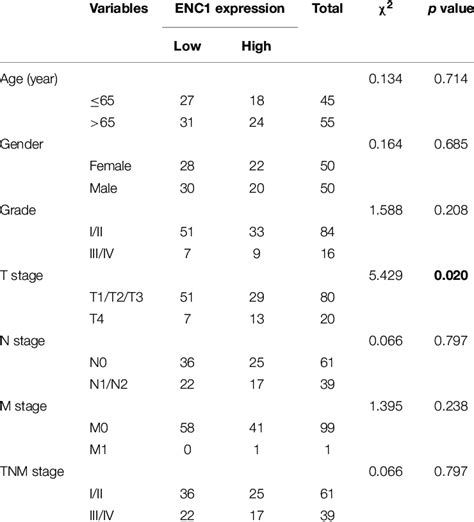 Correlation Between Enc1 Expression And Clinicopathological Features In