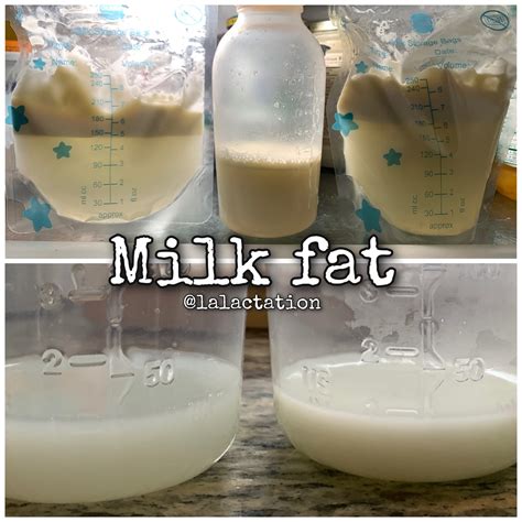 milk fat archives la lactation llc