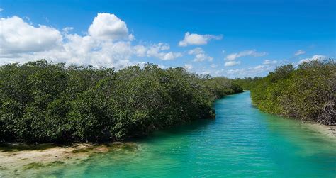 We did not find results for: Sian Ka'an UNESCO World Heritage Site in Mexico