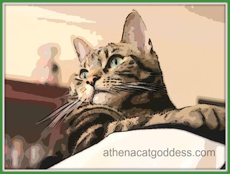 Athena Cat Goddess Wise Kitty Caturday Art