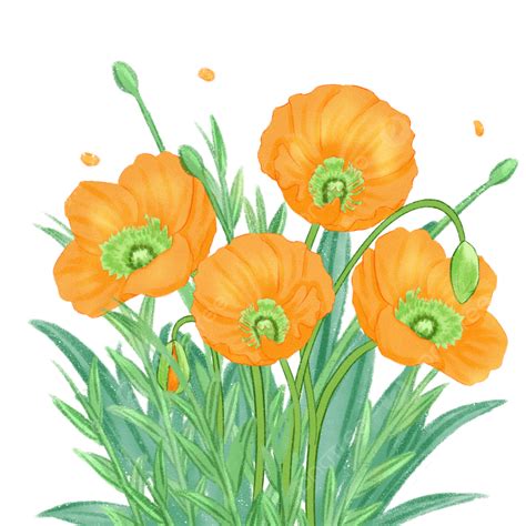 Spring Blooms Clipart Hd Png Spring Flowers Bloom Beauty Element
