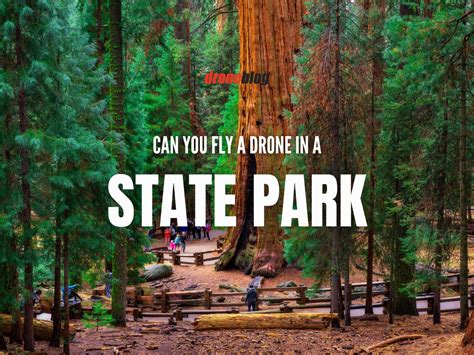Can You Fly A Drone In A State Park Droneblog