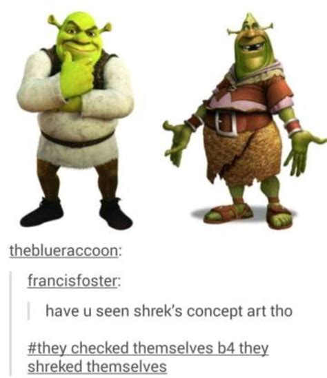 Pin By Ava On Randomfunny Shrek Funny Shrek Memes Funny Movie Memes