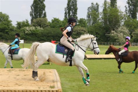 Horse Riding Lessons In Billericay Chelmsford Equestrian Centre