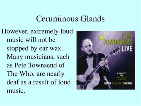 Surprisingly, more reported rabies cases in the united states involve cats than dogs, although those cases are still much lower than the incidence of rabies in wild animals. PPT - The Integumentary System PowerPoint Presentation ...