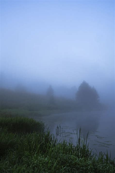 Fog On The River Smithsonian Photo Contest Smithsonian Magazine