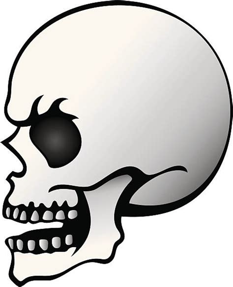 Best Human Skull Profile Illustrations Royalty Free Vector Graphics
