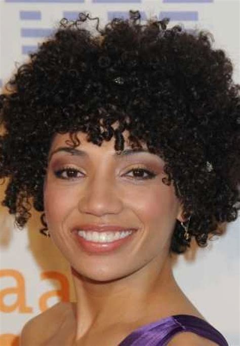 Short Natural Curly African American Hair Wig Human Hair Wigs Sale