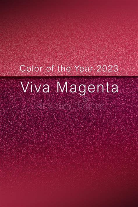 Viva Magenta Color Of The Year 2023 Trendy Color Sample Shiny And