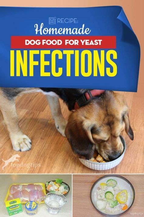 Recipe Homemade Dog Food For Yeast Infections In 2020 Dog Allergies