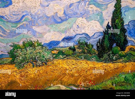 Wheat Field With Cypresses 1889 By Vincent Van Gogh At Metropolitan