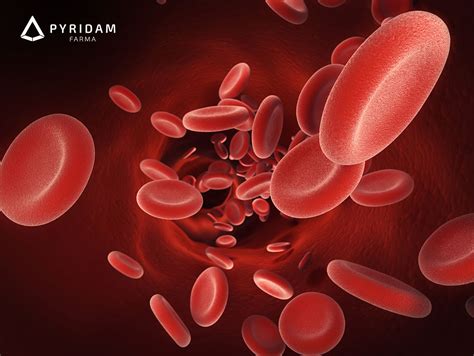Apa Itu Hemoglobin Kadar Normal Dan Fungsinya