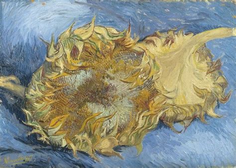 Vincent Van Gogh I Due Girasoli Vincent Van Gogh Rembrandt Klimt