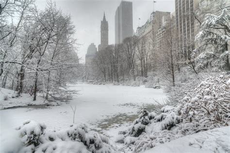 Winter Storm Central Park New York City Stock Image Image Of City