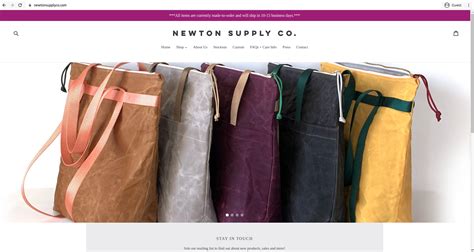 5 Best Shopify Debut Theme Examples For 2021