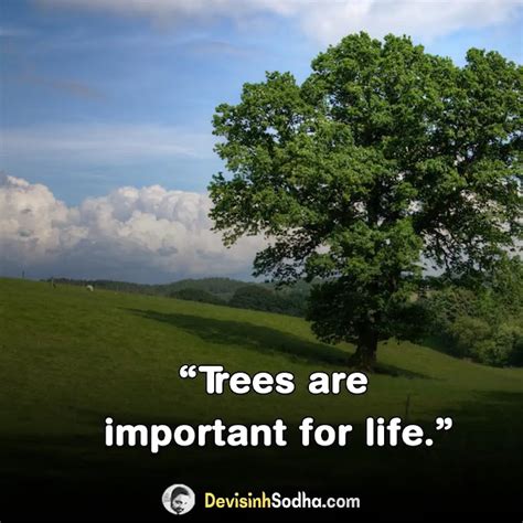 299 Catchy And Popular Save Trees Slogans In English 2023
